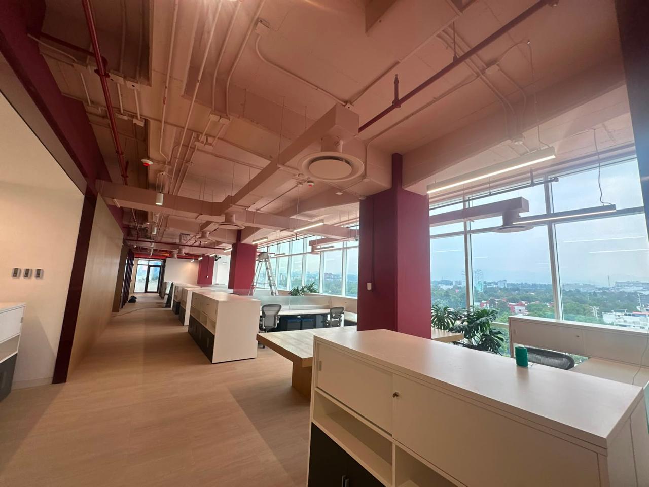 Oficinas Corporativas TANE